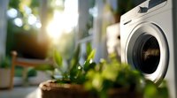 Modern washing machine in sunlit room with green plants, creating eco-friendly laundry atmosphere. Selective focus on appliance door with bokeh background.