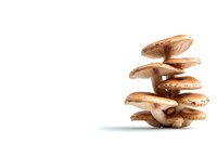 Fresh brown shiitake mushrooms cluster growing in layers isolated on white background, showing gills and stems in natural arrangement.