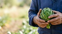 Farmer holding fresh green artichoke in hands outdoors. Male agricultural worker harvesting organic produce in field. Suitable for farming, agriculture, and food industry content.