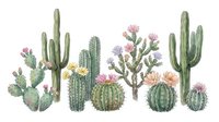 Watercolor desert cactus collection with pink blooms on white background. Saguaro, prickly pear, cholla and barrel cacti perfect for southwestern decor.