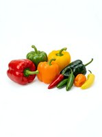 Fresh assorted peppers including red, green, yellow and orange bell peppers with hot chili peppers isolated on white background for culinary and food design projects.