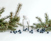Glass bottle with pine branch and juniper berries on white background, natural ingredients for essential oil or aromatherapy.