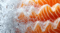 Fresh raw salmon fillet slices on crushed ice background, macro view showing detailed fish texture and marbling pattern for seafood restaurant menu design.
