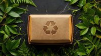 Eco-friendly cardboard shipping box with recycling symbol surrounded by fresh green leaves on dark surface for sustainable packaging solutions.