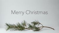 Merry Christmas greeting card with pine branch and fairy lights on light gray background, minimalist holiday design.