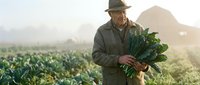 Middle-aged male farmer of Caucasian ethnicity holding fresh harvested vegetables in agricultural field at sunrise with misty mountains in background.