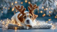 Adorable Jack Russell terrier puppy wearing reindeer antlers, resting on wooden log with Christmas lights and bokeh background.