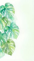 Watercolor monstera tropical leaves border on white background, soft green botanical art with copy space for cards and posters.