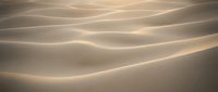 Smooth golden sand dunes with flowing curves and soft shadows creating natural wave patterns in warm desert landscape for backgrounds and textures.