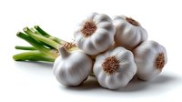 Fresh whole garlic bulbs with green stems on white background, natural organic produce in bright lighting, isolated food photography for culinary and cooking concepts.