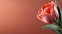 Coral-colored tulip bloom with soft petals against blurred terracotta background, featuring delicate green leaves and gentle lighting for romantic floral designs.