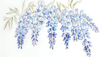 Delicate wisteria flowers cascade in soft blue watercolor, with gentle green leaves and branches creating an elegant botanical composition on white background.