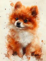 Adorable Pomeranian puppy with red-orange fur and white chest in watercolor style, artistic pet portrait with splatter effects on light background.