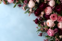 Romantic floral border with pink garden roses, burgundy flowers and green foliage arranged on light blue background. Elegant composition for wedding design.