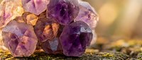 Raw amethyst crystal cluster with purple and golden hues on natural moss surface, healing stones for meditation and spiritual wellness practices.