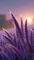 Purple wheat stalks silhouetted against sunset sky with soft pink and violet hues creating dreamy atmospheric nature scene for wellness and meditation backgrounds.
