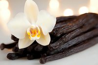 Fresh white orchid blossom with yellow center resting on aromatic vanilla pods against soft bokeh background, creating luxurious spa and culinary composition.