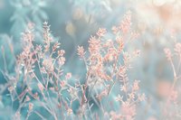 Delicate pink wildflower branches with soft bokeh background creating dreamy pastel nature scene for spring and summer botanical designs.