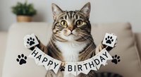 Tabby cat with white chest holding paws up displaying happy birthday banner with paw print decorations on neutral background for greeting cards and celebrations.