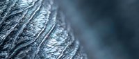 Extreme close-up macro shot of delicate feather texture showing intricate barbs and natural patterns in soft blue tones for nature and wildlife projects.