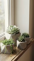Minimalist succulent garden arrangement in concrete planters on wooden windowsill with natural light for modern home decor and interior design projects.