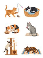 Isolated cartoon cats in various poses and activities including fishing, sleeping in basket, eating, grooming, playing on cat tree and relaxing on mat. Clipart set ready for design projects.