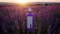 Purple lavender essential oil bottle standing in blooming lavender field at golden sunset. Natural aromatherapy and wellness concept for spa treatments.