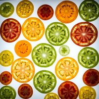 Colorful heirloom tomato slices in red, yellow, orange and green varieties arranged on white background. Fresh organic vegetable cross-sections showing seeds and pulp.