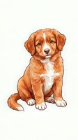 Brown and white spaniel puppy sitting and looking at camera with friendly expression, isolated on white background for pet design, greeting cards, and animal illustrations.