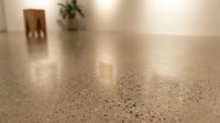 Polished concrete floor with aggregate stones in modern interior space with wooden furniture and plant in background creating warm atmosphere.