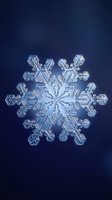 Single detailed snowflake crystal with intricate hexagonal structure on deep blue gradient background for winter holiday designs and seasonal projects.