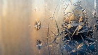 Intricate frost patterns on glass surface with golden sunlight creating magical winter morning atmosphere and delicate ice crystal formations.