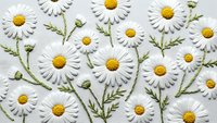 Fresh white daisy flowers with yellow centers and green stems arranged in flat lay pattern on white background for natural botanical design projects.