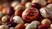 Mixed nuts and legumes collection featuring walnuts, almonds, hazelnuts, pistachios and beans in natural warm lighting for healthy snacking concepts.