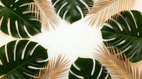 Tropical frame with golden palm leaves and monstera foliage on cream background for summer design projects and natural botanical decorations.