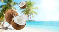 Fresh coconut with milk splash on tropical beach background with palm trees and turquoise ocean water for summer vacation and healthy lifestyle concepts.
