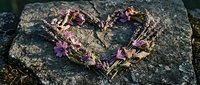 Heart-shaped arrangement of purple flowers and twigs on weathered stone surface for romantic nature photography and seasonal decorative projects.