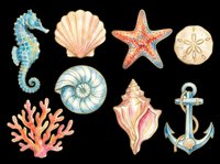 Watercolor sea life collection featuring seahorse, shell, starfish, sand dollar, nautilus, coral, conch, and anchor isolated on transparent background. Ready for t-shirt designs, clipart, stickers, sublimation, and print-on-demand projects.