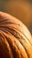 Fresh artisan sourdough bread loaf with golden crust and rustic texture on warm blurred background for bakery and food photography concepts.
