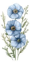 Delicate light blue anemone flowers with green foliage on white isolated background. Botanical art composition suitable for wedding stationery and home decor.