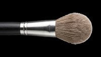 Makeup brush with round fluffy bristles and metallic ferrule on black handle, isolated on transparent background. Ready for beauty, cosmetics, and design projects including clipart and print-on-demand applications.