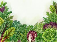 Watercolor illustration of fresh garden vegetables and leafy greens arranged at bottom border with white space above, suitable for recipe cards, cooking blogs, farmers market promotions, and culinary design projects.