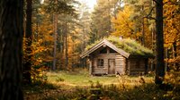 Rustic wooden cabin nestled in autumn forest with golden foliage, surrounded by tall trees and moss-covered roof, ideal for nature and woodland themes.