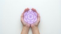 Cupped hands holding glowing purple lotus flower symbol representing wellness, meditation, spirituality and healing energy on clean white background.