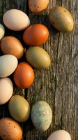 Colorful farm fresh eggs in various natural shades scattered on rustic weathered wood background for organic cooking and healthy breakfast concepts.