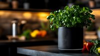 Fresh green basil plant growing in modern black pot on wooden kitchen counter with blurred cooking ingredients background, moody lighting and copy space.
