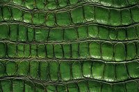 Green crocodile skin texture with detailed scales and natural pattern showing luxurious leather surface with deep emerald color and distinctive reptilian structure.