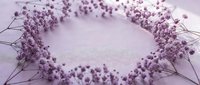 Delicate purple baby's breath flowers arranged in elegant wreath formation on soft lavender background creating romantic floral frame for wedding invitations.