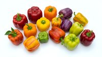 Fresh colorful bell peppers in red, yellow, orange, green and purple varieties isolated on white background for healthy cooking and nutrition concepts.