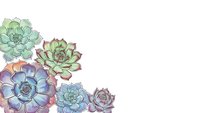 Watercolor succulent plants arrangement on white background isolated for botanical design projects and decorative elements.
